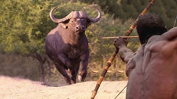 Everything You Need To Know About Hadzabe Tribe.