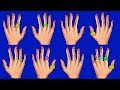 Lo que dicen los anillos en diferentes dedos sobre tu personalidad