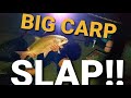 BIG Carp SLAP! Catching River Carp Smallmouth Buffalo Carp