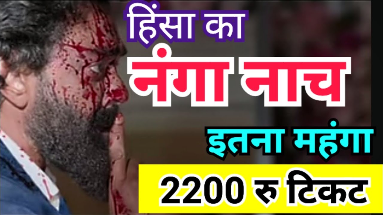 Animal पर पहले ही दिन बरसा रुपया | Advance Booking Open | Animal Collection Report Day 1 