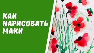 Как нарисовать маки акварелью. Рисуем цветы.