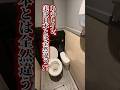 【ロンドン在住25年】イギリスと日本のトイレって全然違う!? #shorts #イギリス #イギリスワーホリ #海外 #留学
