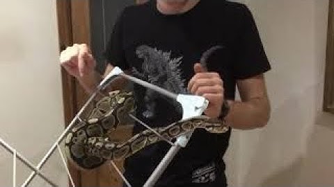 Snake locomotion: Climbing