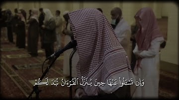 ما تيسر من سورة المائدة بصوت القارئ عبد اللّٰه القرافي 🤍🍂