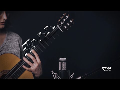 Как легко выучить ноты на грифе | Konsa.pro