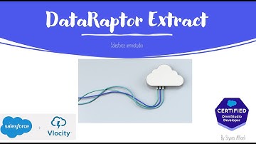 DataRaptor Extract | Omnistudio Developer