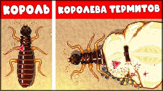 ЭВОЛЮЦИЯ ТЕРМИТОВ! КОРОЛЬ и КОРОЛЕВА ТЕРМИТОВ | КООПЕРАТИВНЫЕ БОИ - Pocket Ants: Симулятор Колонии