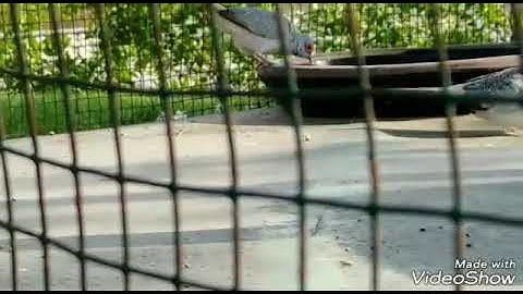 Engineering TeamWork Video Clip