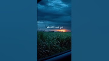 #قران_كريم سورة النصر  #علاء_عقل  #قرآن #اكسبلور