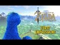 Setting Out! │ Breath of the Wild First Impressions