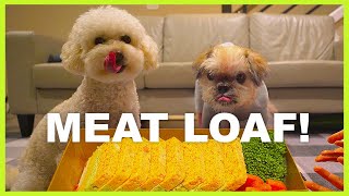 Dogs Devouring Meat Loaf | 미트로프 순삭하는 강아지들 | 강아지 먹방 | Dog Mukbang fail by 토토야어디가? 145 views 3 years ago 2 minutes, 25 seconds