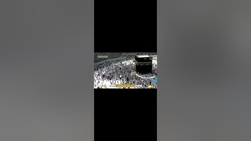 سورة التوبة بصوت الشيخ أحمد عيسى المعصراوي برواية رويس عن يعقوب الحضرمي