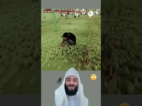شوف سبحنا الله كيف ارحمة عبارات اقنباسات دويتو 