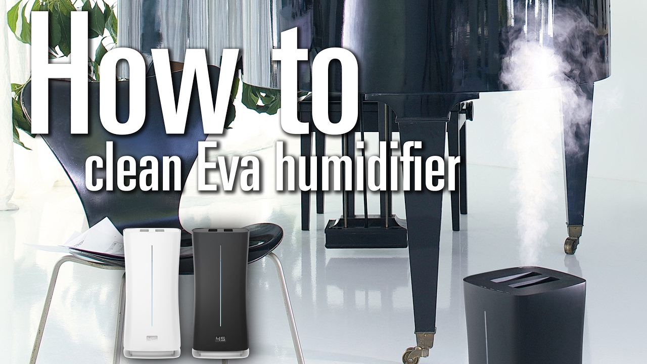 Stadler Form Humidificateur d'air Eva Wi-Fi Noir avec Télécommande portée  de 80 m²