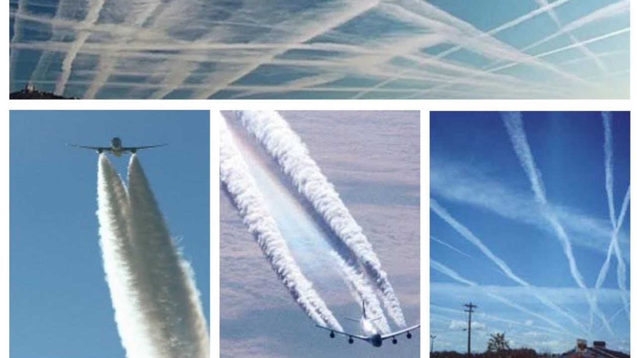 "Манна небесная" как влияет на здоровье и когда это закончится? Ответ ...