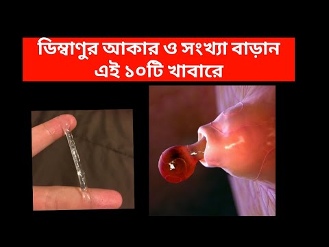 ভিডিও: কিভাবে উর্বরতা বাড়াতে হয়