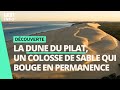  la dune du pilat un colosse de sable sous trs haute surveillance