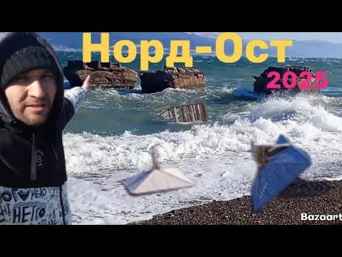 норд-ост в Новороссийске