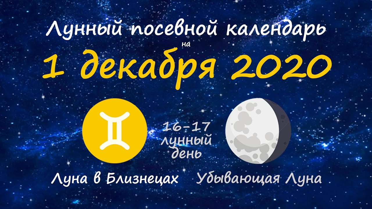 Лунный календарь огородника на 2024. Календарь огородника на 2024. Лунный 2024.