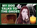 My Dog Plays A Paranormal Game | Talks To Ghost