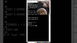 65C816 Computer: May I have some Loops Wealth