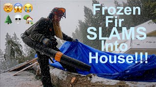 Frozen Fir SLAMS Into House!!! Emergency Tree Removal by Guilty of Treeson @ Eastside Tree Works 572,728 views 3 years ago 48 minutes