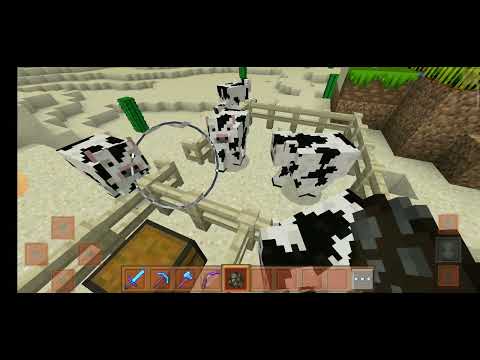 დავიწყე მაინქრაფთის გადაღება