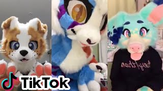 Furry TikTok Compilation #1