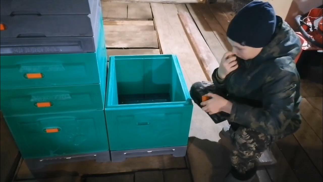 Ульи ППУ "МЕДВЕДЬ". МЕДВЕДЬ на нашей пасеке. - YouTube