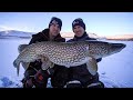 Multispecies ice fishing tips  tricks fishing geeks