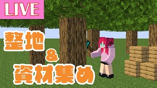 【マイクラ】（元）村を更地にするのと資材集めする！