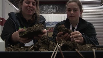 Working With Soil Training Course Video - Exposing and describing a soil profile (short version)