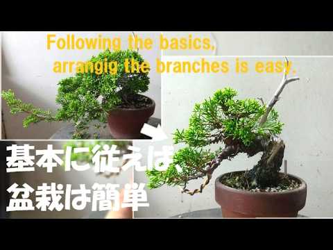 盆栽工房 春嘉 - YouTube