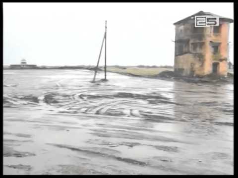 ზედამხედველობის სამსახური შპს „ფულ ოილისათვის“ 2 000 ლარამდე ჯარიმის დაკისრებას მოითხოვს