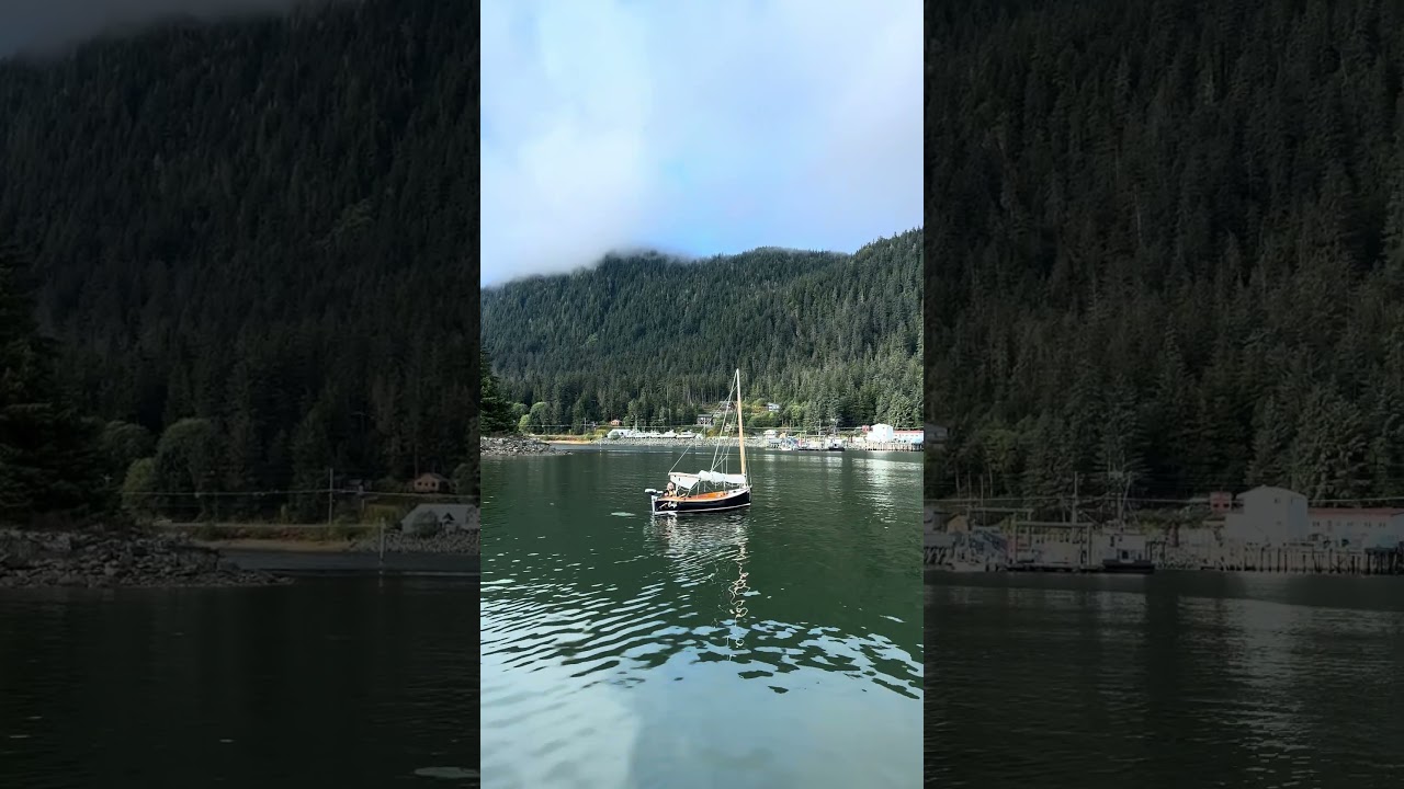 Another amazing visitor in Auke Bay!!! So happy they said hi :)! #sailboat #sailaway #alaska