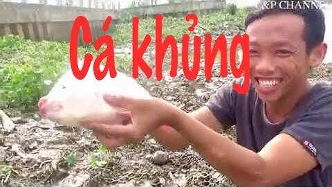 Điểm câu cá tự nhiên/ Vô Tình Câu Được Cá Điêu Hồng Khủng Và Cái Kết