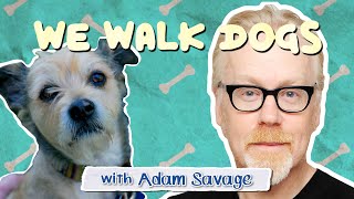 Adam Savage Busts Dog Myths While Walking His Pup | WeWalkDogs