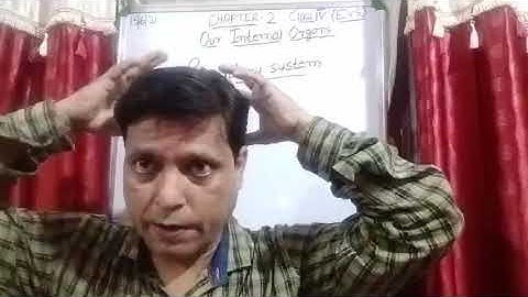 Class IV EVS 15 06 2021 by Mr Rupesh Chapter 2 Book exercise