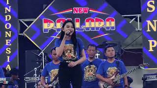 Jera  Viola Valen  New Pallapa  Temu Akrab Snp Ke 8 Gor Mojokerto