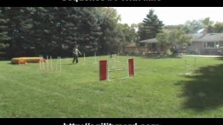 Six Practice Sequences Demo and Discussion