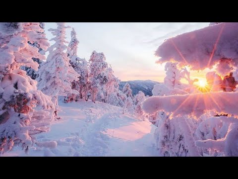 Kar Yağışı, Harika Manzara ile Huzur Veren Müzik, Dinlendirici  Kar Yağışı | Rahatlatıcı Müzik 🎧 ❤️