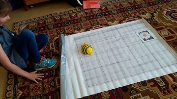 Bee-Bot activity (day 1, pretest, part 1)