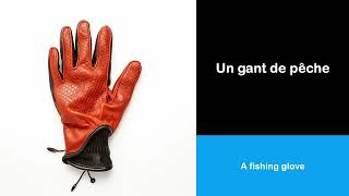 French Vocabulary I 10 Words With Illustrations I Episode 2195