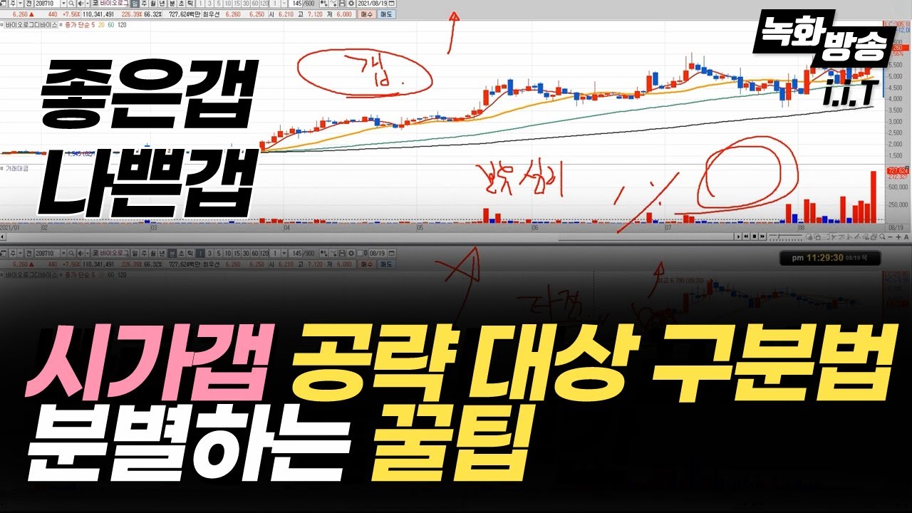 ⁣시가갭에 대한 이야기 - 바이오로그디바이스 단타매매