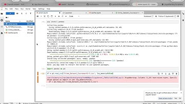 DtypeWarning: Columns have mixed types. Specify dtype option on import or set low_memory=False