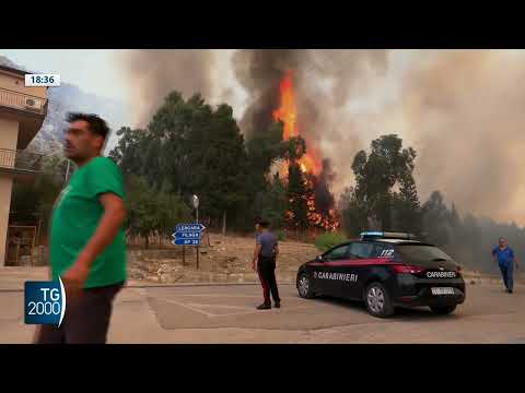 Video Brucia la Sicilia. Incendi devastano ettari di terreni