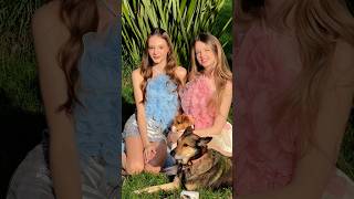 Самая добрая песня про любовь #supersofi @letsplaysupersofi @MZtsvetok #music #duet