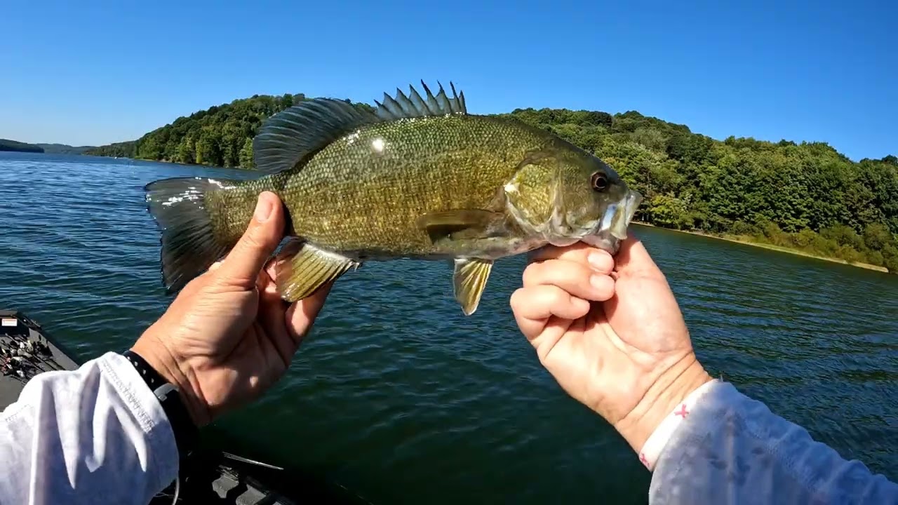 Fall transition bass fishing…can be tough!