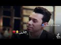 عشره بتعبه وضيمه سعد شميل