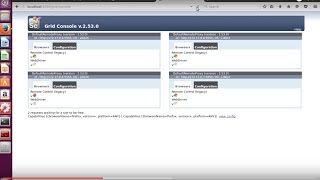 SeleniumDockerTest